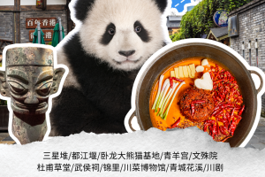 2026芽芽教育海外学生夏令营正式开启报名啦！2026 Yaya Education Overseas Student Summer Camp Enrollment Now Open!